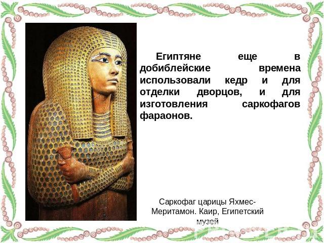 Египтяне еще в добиблейские времена использовали кедр и для отделки дворцов, и для изготовления саркофагов фараонов. Саркофаг царицы Яхмес-Меритамон. Каир, Египетский музей