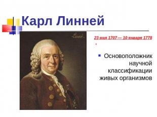 Карл Линней 23 мая 1707 — 10 января 1778, Основоположник научной классификации ж