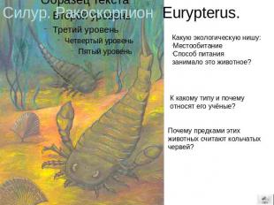 Силур. Ракоскорпион Eurypterus. Какую экологическую нишу: Местообитание Способ п