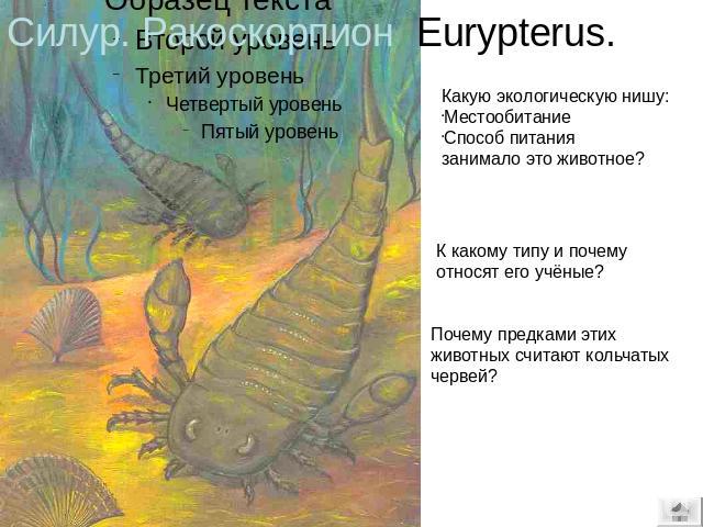 Силур. Ракоскорпион Eurypterus. Какую экологическую нишу: Местообитание Способ питания занимало это животное? К какому типу и почему относят его учёные? Почему предками этих животных считают кольчатых червей?