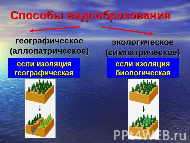 Способы видообразования географическое (аллопатрическое) если изоляция географическая экологическое (симпатрическое) если изоляция биологическая