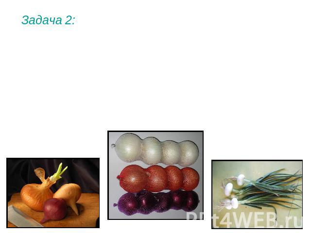 Задача 2: У лука доминантный ген А определяет наличие цвета у луковиц (а – бесцветные луковицы), а ген В (b) окраску луковиц (красный цвет доминирует над желтым). Скрестили между собой растения с красными и желтыми луковицами. В полученном потомстве…