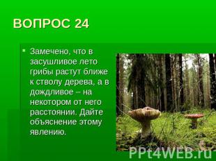 ВОПРОС 24 Замечено, что в засушливое лето грибы растут ближе к стволу дерева, а