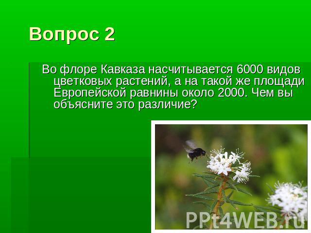 Вопрос 2 Во флоре Кавказа насчитывается 6000 видов цветковых растений, а на такой же площади Европейской равнины около 2000. Чем вы объясните это различие?
