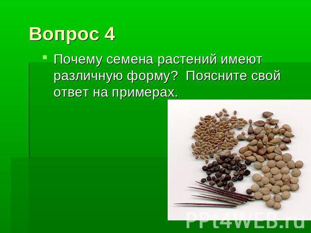 Вопрос 4 Почему семена растений имеют различную форму? Поясните свой ответ на примерах.