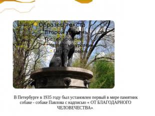 В Петербурге в 1935 году был установлен первый в мире памятник собаке - собаке П