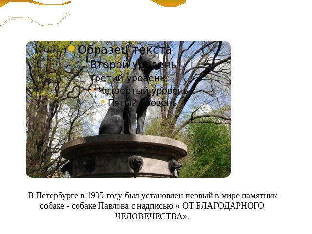 В Петербурге в 1935 году был установлен первый в мире памятник собаке - собаке Павлова с надписью « ОТ БЛАГОДАРНОГО ЧЕЛОВЕЧЕСТВА».