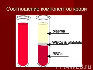 Соотношение компонентов крови