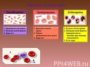 Форменные элементы крови Тромбоциты . Кровяные пластинки 2. Неправильной формы 3