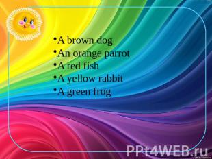 A brown dog An orange parrot A red fish A yellow rabbit A green frog