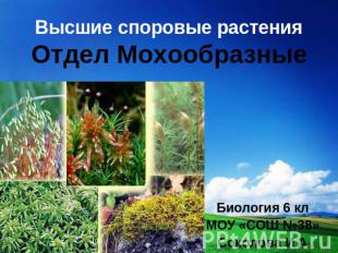 Высшие споровые растения Отдел Мохообразные Биология 6 кл МОУ «СОШ №38» Соколова