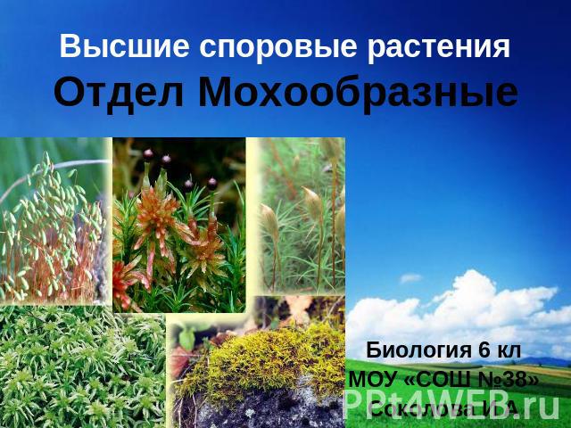 Высшие споровые растения Отдел Мохообразные Биология 6 кл МОУ «СОШ №38» Соколова И А