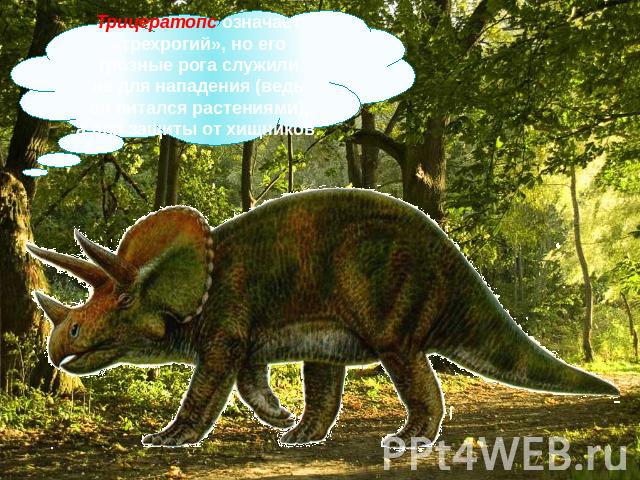 Трицератопс означает «трехрогий», но его грозные рога служили не для нападения (ведь он питался растениями), а для защиты от хищников.