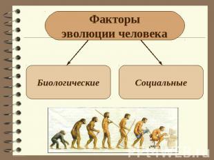 Факторы эволюции человека Биологические Социальные