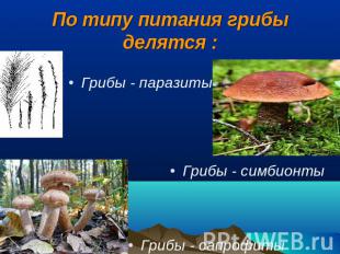 По типу питания грибы делятся : Грибы - паразиты Грибы - симбионты Грибы - сапро