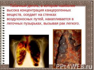 Табачный деготь, в котором наиболее высока концентрация канцерогенных веществ, о