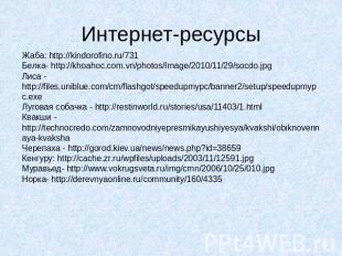 Интернет-ресурсы Жаба: http://kindorofino.ru/731 Белка- http://khoahoc.com.vn/ph
