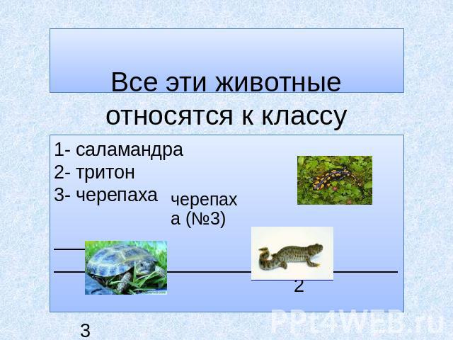 Все эти животные относятся к классу земноводных: 1- саламандра 2- тритон 1 3- черепаха 2 3