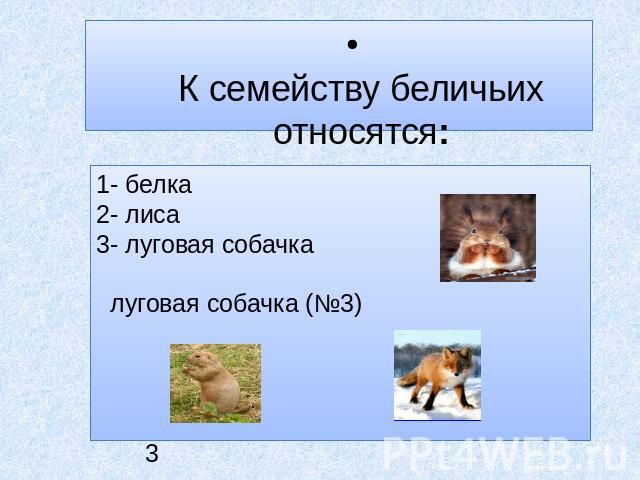 К семейству беличьих относятся: 1- белка 2- лиса 1 3- луговая собачка луговая собачка (№3) 2 3