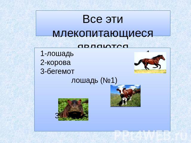 Все эти млекопитающиеся являются парнокопытными: 1-лошадь 1 2-корова 3-бегемот лошадь (№1) 2 3