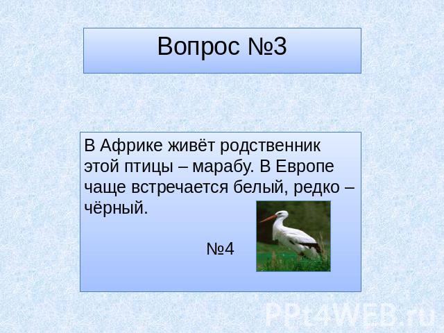 Вопрос №3 В Африке живёт родственник этой птицы – марабу. В Европе чаще встречается белый, редко – чёрный. №4