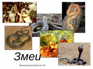 Змеи Презентация для детей 3-4 лет