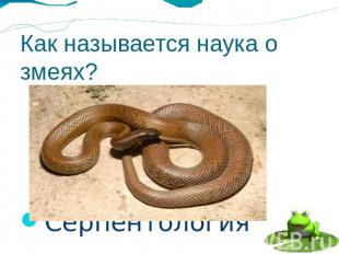 Как называется наука о змеях? Серпентология