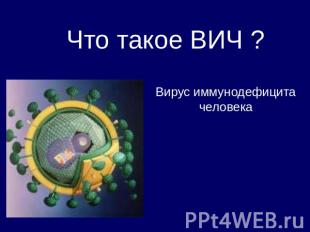 Что такое ВИЧ ? Вирус иммунодефицита человека