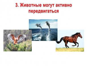 3. Животные могут активно передвигаться