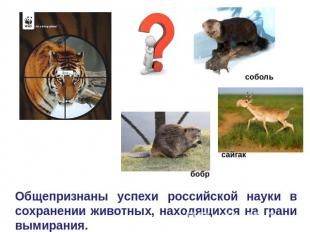 Общепризнаны успехи российской науки в сохранении животных, находящихся на грани
