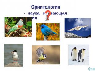 Орнитология - наука, изучающая птиц