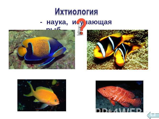 Ихтиология - наука, изучающая рыб