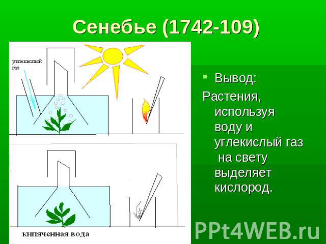 Сенебье (1742-109) Вывод: Растения, используя воду и углекислый газ на свету выделяет кислород