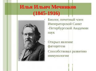 Илья Ильич Мечников (1845-1916) Биолог, почетный член Императорской Санкт -Петер