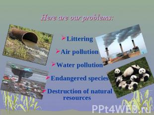 Here are our problems: Littering Air pollution Water pollution Endangered specie