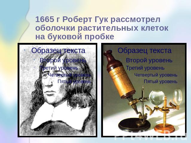 1665 г Роберт Гук рассмотрел оболочки растительных клеток на буковой пробке