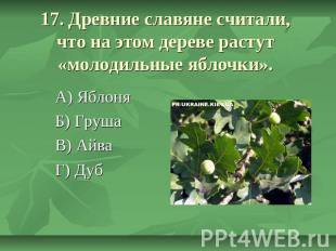 17. Древние славяне считали, что на этом дереве растут «молодильные яблочки». А)