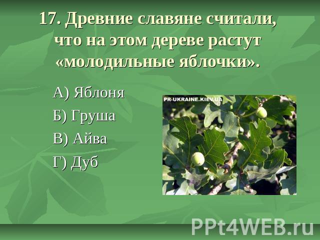 17. Древние славяне считали, что на этом дереве растут «молодильные яблочки». А) Яблоня Б) Груша В) Айва Г) Дуб