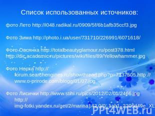 Список использованных источников: фото Лето http://i048.radikal.ru/0909/5f/6b1af