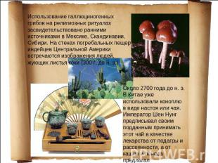 Использование галлюциногенных грибов на религиозных ритуалах засвидетельствовано