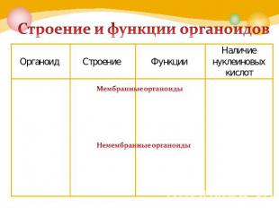 Строение и функции органоидов