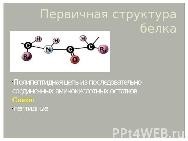 Первичная структура белка Полипептидная цепь из последовательно соединенных аминокислотных остатков Связи: пептидные