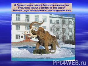 В Якутске, возле здания Якутского института мерзлотоведения Сибирского отделения