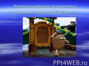 Памятник картошке установлен в Мариинске. Кемеровской области