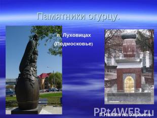 Памятники огурцу. в Луховицах (Подмосковье) Г.Нежин на Украине