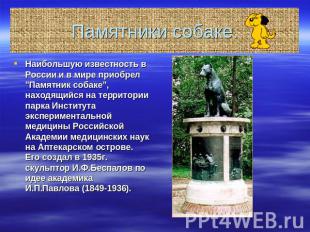 Памятники собаке. Наибольшую известность в России и в мире приобрел "Памятник со