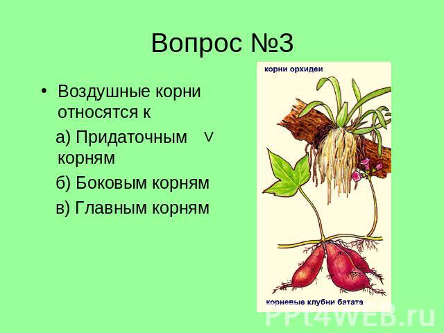 Воздушные корни относятся к а) Придаточным корням б) Боковым корням в) Главным корням