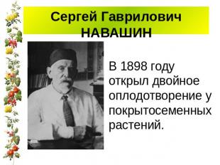 Сергей Гаврилович НАВАШИН В 1898 году открыл двойное оплодотворение у покрытосем