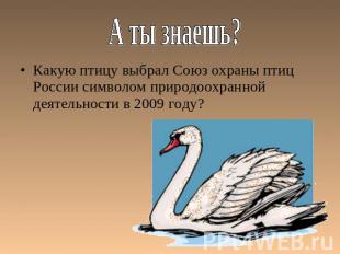 А ты знаешь? Какую птицу выбрал Союз охраны птиц России символом природоохранной