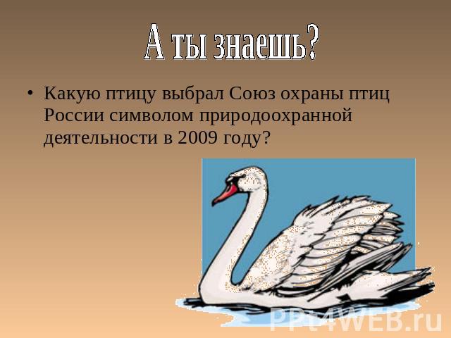 А ты знаешь? Какую птицу выбрал Союз охраны птиц России символом природоохранной деятельности в 2009 году?